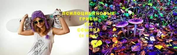 хмурый Бронницы